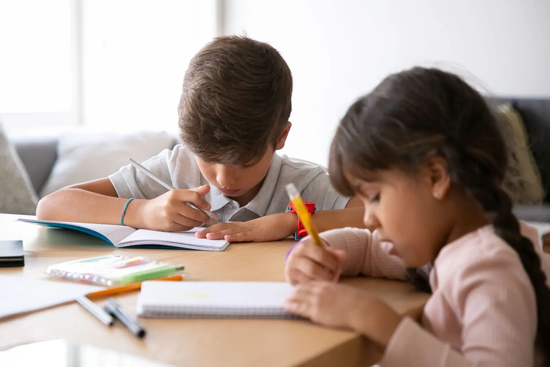 School, Vocational and Community Integration
